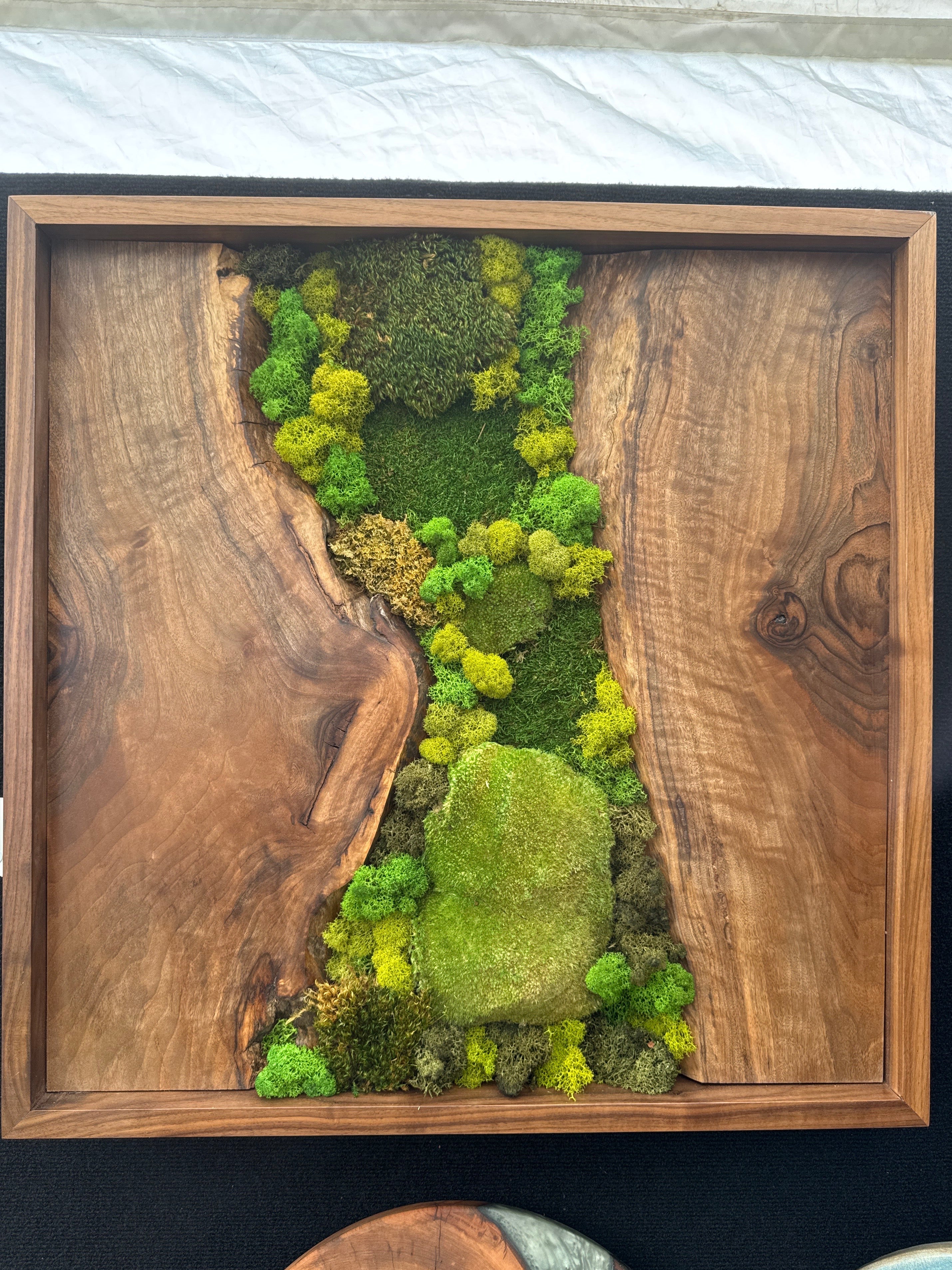 Walnut Framed Moss Wall Art