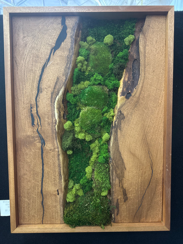 Mesquite Framed Moss Wall Art