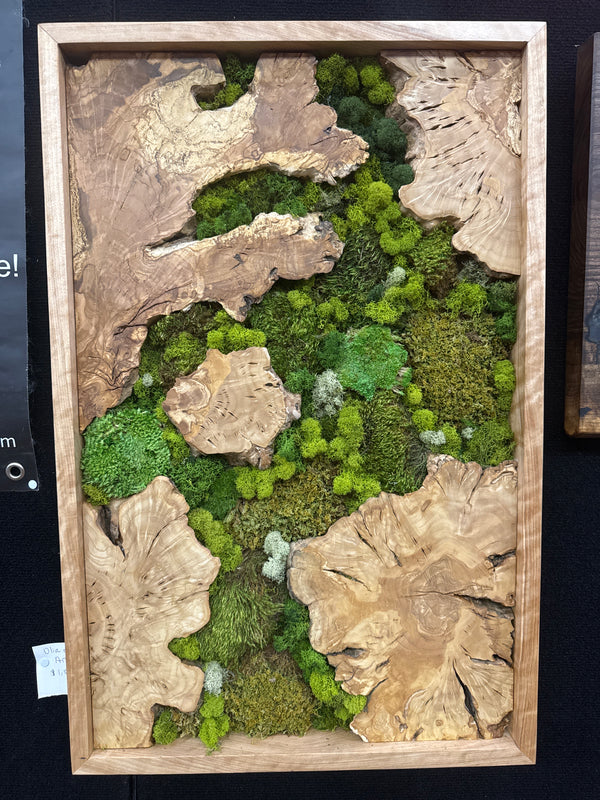 Olive Framed Moss Wall Art