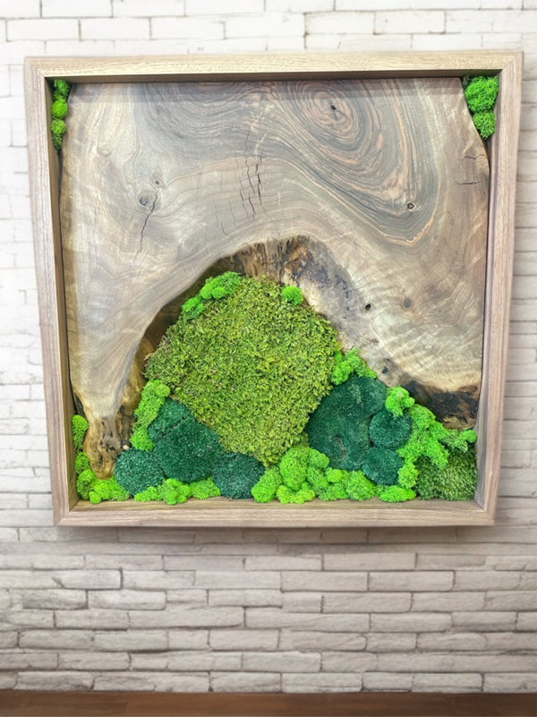 Walnut Framed Moss Wall Art