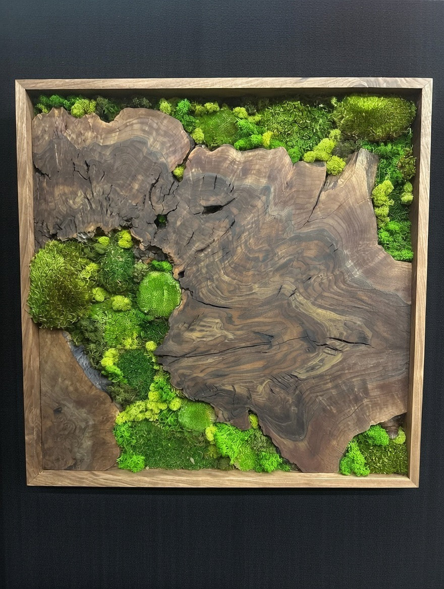 Walnut Burl Framed Moss Wall Art 3