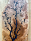 Red Birch Galaxy Fractal Burned Charcuterie Board #20