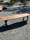 Walnut Bench
