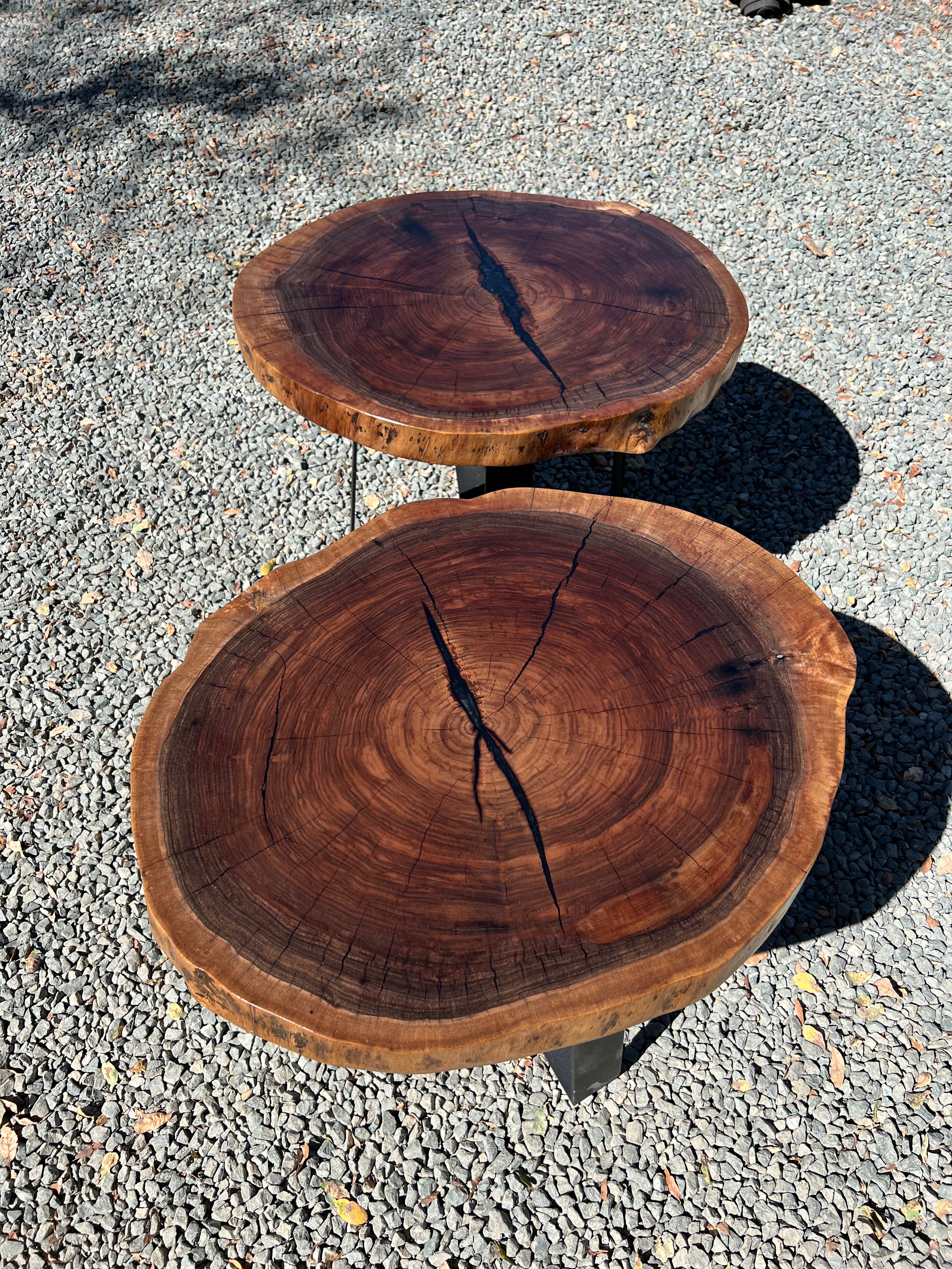 Pair of Black Walnut Round End Tables