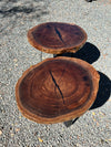 Pair of Black Walnut Round End Tables