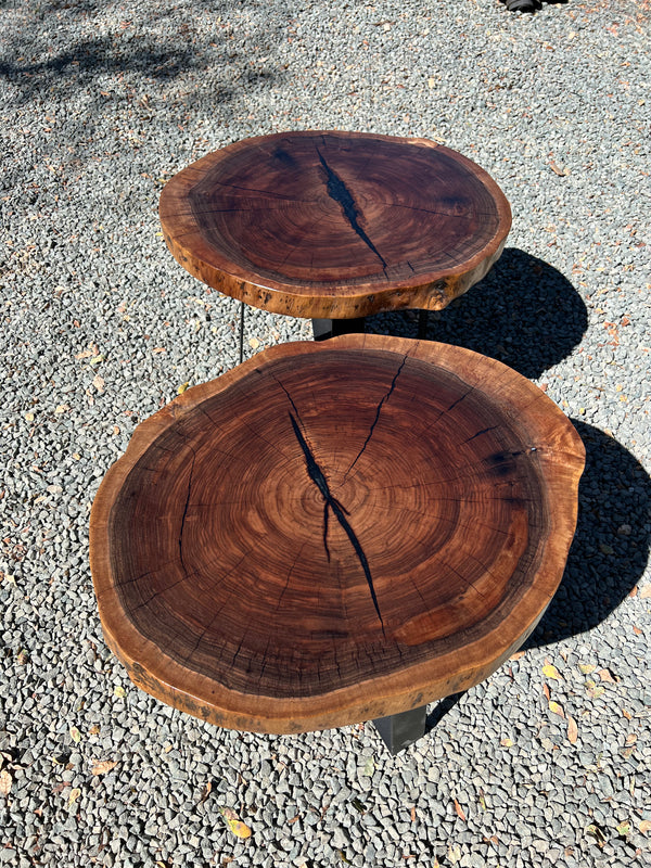 Pair of Black Walnut Round End Tables